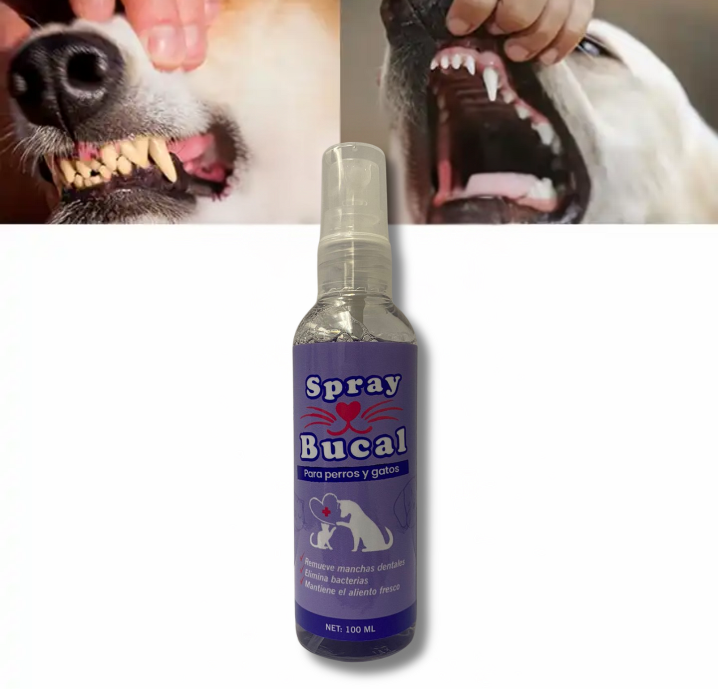 Spray Bucal Para Mascotas 100ml